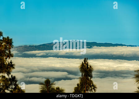 Pineta di Tenerife, silhouette di La Gomera e Il Hierro isole sullo sfondo. Vista da 1900 m di altitudine. Long Lens shot. Tenerife, Spagna. Foto Stock