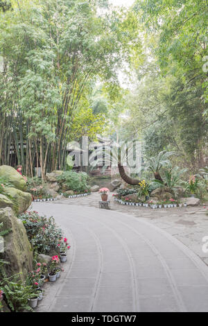 Foresta di Bamboo prugna Fiore strada prato in primavera a Chengdu, Cina Foto Stock