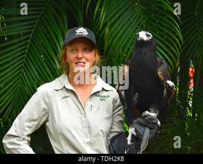 Beerwah, Australia - Apr 22, 2019. Custode dello Zoo tenendo un cuneo Tailed Eagle sul suo braccio, che è il più grande rapace notturno in Australia. Lo Zoo Australia è loca Foto Stock