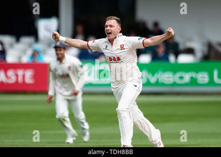 Chelmsford, Regno Unito. 16 Giugno, 2019. Sam Cook di Essex Cricket Club festeggia dopo aver preso il paletto di durante la contea Specsavers gara di campionato: Essex vs Hampshire a Chelmsford Cricket Ground di Domenica, 16 giugno 2019 a Chelmsford in Inghilterra. (Solo uso editoriale, è richiesta una licenza per uso commerciale. Nessun uso in scommesse, giochi o un singolo giocatore/club/league pubblicazioni. Credito: Taka Wu/Alamy Live News Foto Stock