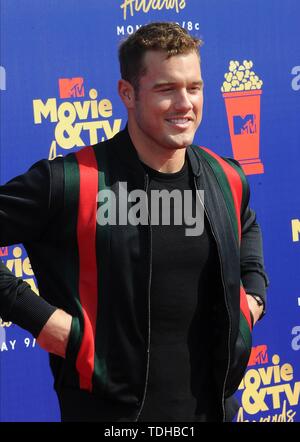 Los Angeles, Stati Uniti d'America. Il 16 giugno 2019. Colton Underwood assiste il 2019 MTV Movie & TV Awards a Barker Hangar a Los Angeles, Stati Uniti d'America, il 15 giugno 2019. | Utilizzo di credito in tutto il mondo: dpa picture alliance/Alamy Live News Foto Stock