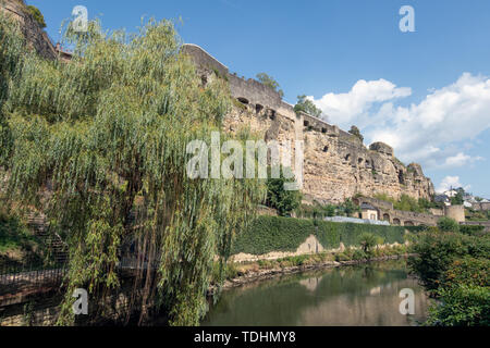 Salice piangente lungo il fiume Alzette nella città di Lussemburgo downtown Grund Foto Stock