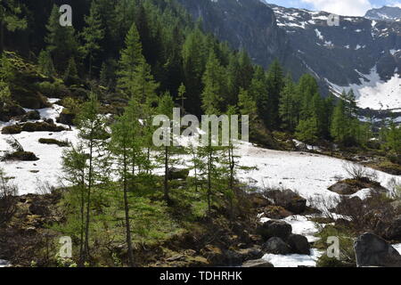 Felbertauern, Hohe Tauern, Granatspitzgruppe, Schnee, Eis Hochtal, Talschluss, Geröll, Alpenhauptkamm, Felbertauernstraße, Felbertauerntunnel, Tunnel Foto Stock