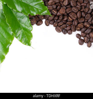 Caffè torrefatto bean con lasciare isolata su sfondo bianco Foto Stock