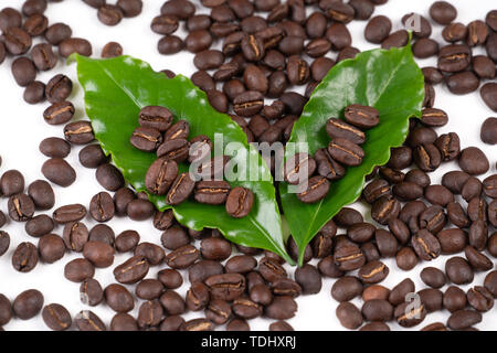 Caffè torrefatto bean con lasciare isolata su sfondo bianco Foto Stock