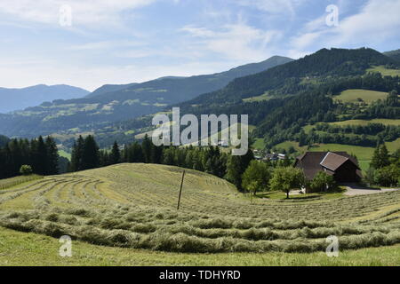 Kärnten, Ernte, Heuernte, MAHT, Bergbauer, Hügel, Berge, Alpen, Landwirtschaft, Haus, Landstraße, Bergstraße, Gerlitzen, Gerlitzenstraße, Nockberge, G Foto Stock