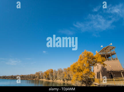 Il PIOPPO Lin, lago, riflessione, uno splendido scenario Foto Stock