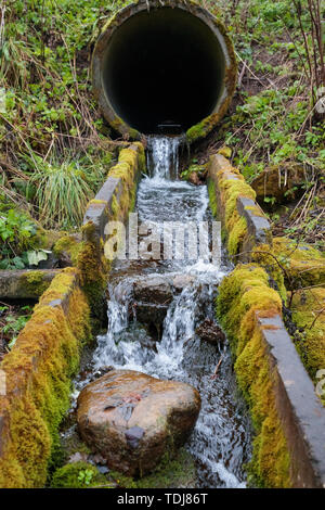 Flusso del fiume attraverso i vecchi tubi di scolo nella foresta in autunno Foto Stock