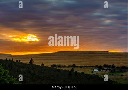 Caliden, Sud Africa Foto Stock