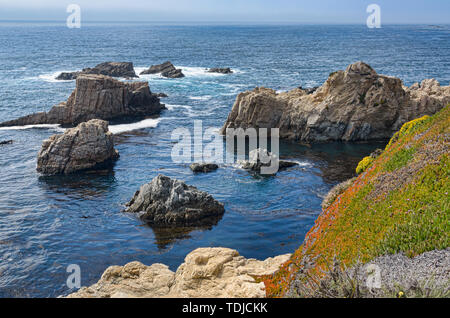 Lungo l'autostrada 1 a sud di Big Sur, impianto di ghiaccio, rocce e acque blu mix Foto Stock