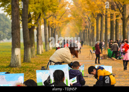 Il Ginkgo Avenue, Chengdu università di elettronica di scienza e tecnologia Foto Stock