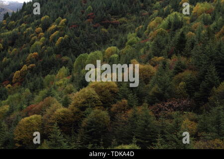 Autunno scenario di montagna Mengpen Foto Stock