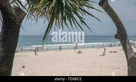 Colpo lungo della spiaggia principale di Surfers paradise incorniciata da piante pandanus nel Queensland, Australia Foto Stock