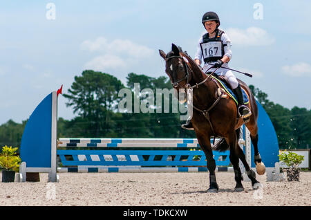 Raeford, North Carolina, Stati Uniti d'America. 16 Giugno, 2019. Giugno 15, 2019 - Raeford, North Carolina, Stati Uniti d'America - TAYLOR SNYDER Cavallo inverno Tanz compete in stadium jumping al 2019 War Horse serie evento, giugno 15 a Carolina Horse Park in Raeford, N.C. Fondata nel 2013 come filiale di cabina Serie evento, il War Horse serie evento consiste di cinque prove a cavallo e prove combinate e attira piloti e i loro cavalli da tutta la parte orientale degli Stati Uniti. Credito: Timothy L. Hale/ZUMA filo/Alamy Live News Foto Stock