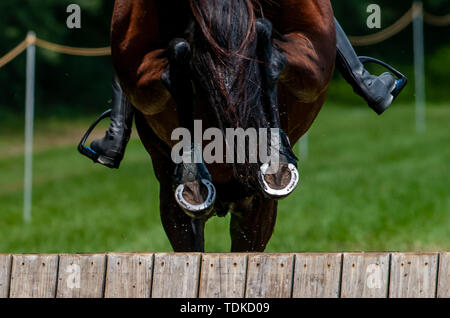 Raeford, North Carolina, Stati Uniti d'America. 16 Giugno, 2019. Giugno 15, 2019 - Raeford, North Carolina, Stati Uniti d'America - un cavallo e cavaliere a eliminare un ostacolo nel cross-country al 2019 War Horse serie evento, giugno 15 a Carolina Horse Park in Raeford, N.C. Fondata nel 2013 come filiale di cabina Serie evento, il War Horse serie evento consiste di cinque prove a cavallo e prove combinate e attira piloti e i loro cavalli da tutta la parte orientale degli Stati Uniti. Credito: Timothy L. Hale/ZUMA filo/Alamy Live News Foto Stock