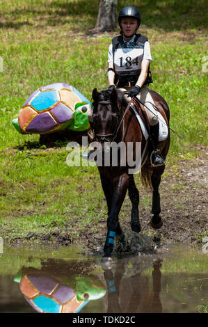 Raeford, North Carolina, Stati Uniti d'America. 16 Giugno, 2019. Giugno 15, 2019 - Raeford, North Carolina, Stati Uniti d'America - DANIELLE RUTH MUELLER riding Theodore compete in cross-country al 2019 War Horse serie evento, giugno 15 a Carolina Horse Park in Raeford, N.C. Fondata nel 2013 come filiale di cabina Serie evento, il War Horse serie evento consiste di cinque prove a cavallo e prove combinate e attira piloti e i loro cavalli da tutta la parte orientale degli Stati Uniti. Credito: Timothy L. Hale/ZUMA filo/Alamy Live News Foto Stock