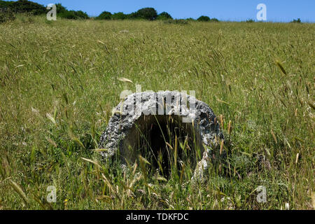Martis, Italia. 31 Maggio, 2019. Resti di tronchi di alberi giacciono nel 'Foresta Pietrificata' ('Foresta pietrificata"). La pietra di alberi che crescono più di 250 milioni di anni fa è affondata in una palude. Credito: Jens Kalaene/dpa-Zentralbild/ZB/dpa/Alamy Live News Foto Stock