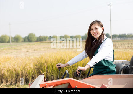 Giovane donna cinese agonomist in golden campo di cereali con piccole harvester Foto Stock