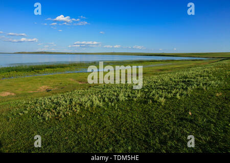 Scenario del Fiume Gen zona umida prateria, Hulunbuir Città della Mongolia interna Foto Stock