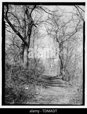 Il percorso in parallelo al fiume, guardando a Nord - John Bartram Casa e giardino, 54th Street e Lindbergh Boulevard, Philadelphia, Contea di Philadelphia, PA; Bartram, John; Bartram, William; Eastwick, Andrew; Carr, Ann Bartram; Carr, Robert; Bartram, John; Carr, John Bartram; Meehan, Thomas; Sargent, Charles S; John Bartram associazione; friggere, Joel T, storico; Elliott, Giuseppe, fotografo; Calderon, David delineatore; Arzola, Robert R, responsabile di progetto Foto Stock