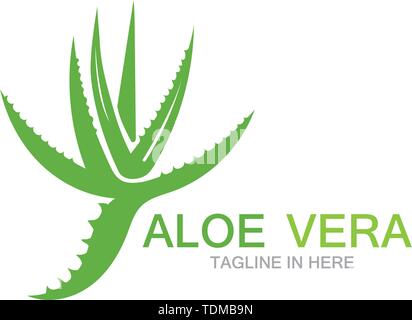 Aloe vera logo illustrazione vettoriale Illustrazione Vettoriale