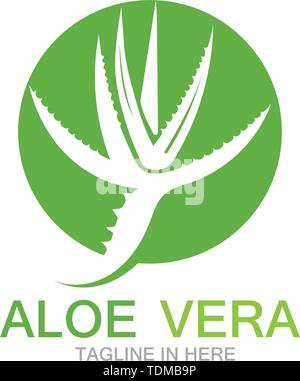 Aloe vera logo illustrazione vettoriale Illustrazione Vettoriale