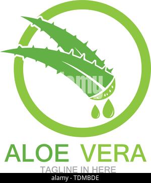 Aloe vera logo illustrazione vettoriale Illustrazione Vettoriale