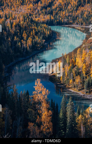 Lago Kanas, Xinjiang Foto Stock