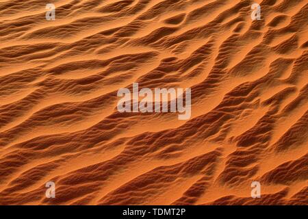 Increspature di sabbia, tessitura su un sanddune, del Tassili n'Ajjer National Park, Sahara, Algeria Foto Stock