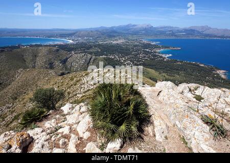 Vista da Talaia d'Alcudia, dietro a sinistra la baia di Alcudia, Badia d'Alcudia, dietro a destra della baia di Pollenca, Badia de Pollenca, vicino a Bonaire Foto Stock