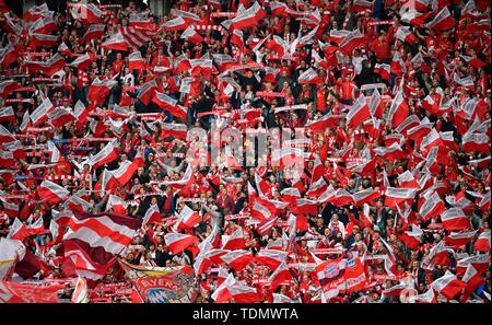 Blocco della ventola FC Bayern Monaco, Cup Final 2019, DFB Cup, Stadio Olimpico di Berlino, Germania Foto Stock