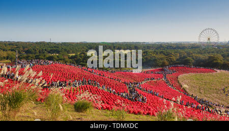 Kochia con la folla in Kokuei Hitachi Seaside Park - Hitachinaka, Ibaraki, Giappone Foto Stock