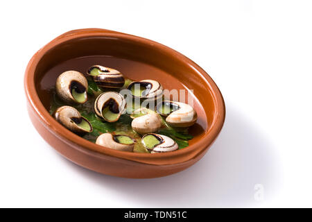 Escargots de Bourgogne isolati su sfondo bianco Foto Stock