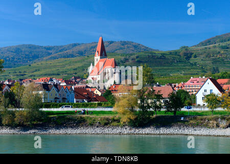 Donau, Ortsansicht Weissenkirchen in der Wachau, Wehrkirche, Wachau, Waldviertel, Niederoesterreich, Oesterreich, Europa Foto Stock