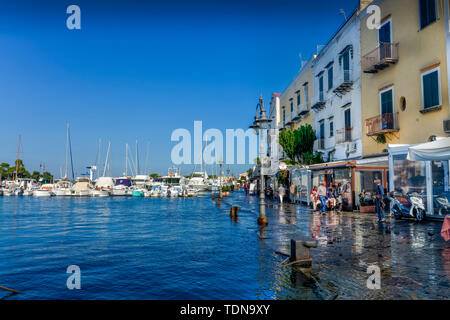 Hafen, Ischia Porto, Insel Ischia, Italien Foto Stock