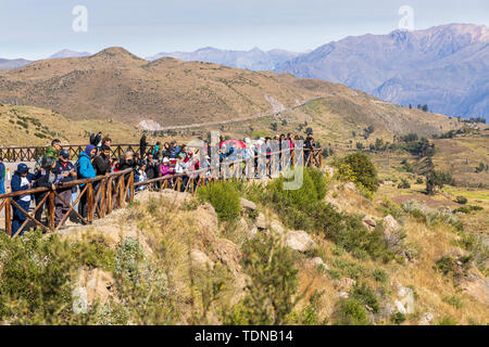 La folla di turisti a Cruz del Condor viewpoint per vedere il gigante gli uccelli in volo la mattina presto, il Canyon del Colca, Perù, Sud America Foto Stock