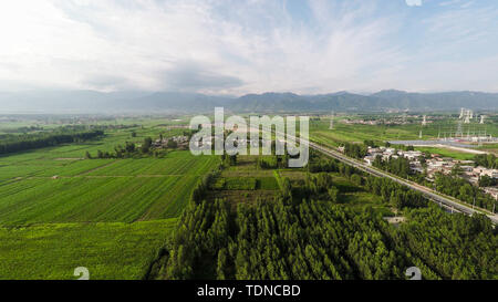 Riprese aeree campi e strade Foto Stock