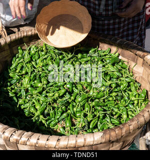 Freschi peperoni padron sul cestello al mercato degli agricoltori. Tipico cibo della Galizia Foto Stock