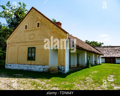 Vista su un cavallo bellissimo mentre si cammina nel cortile. Foto Stock