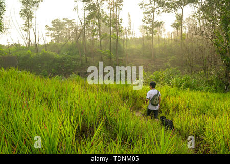 Uomo che passeggia con il suo cane in una foresta con lungo verde erba o erbacce con crescente sunrise in background. Foto Stock