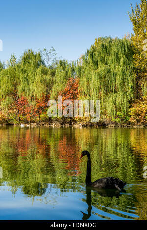 La vista del lago in autunno Foto Stock