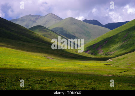 Sanke Gannan prairie Foto Stock