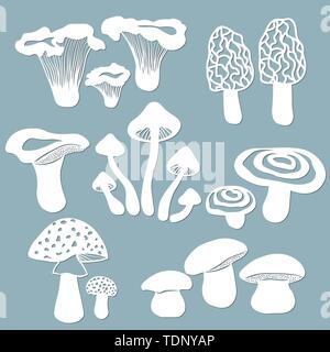 Impostare i modelli di funghi per tagliare con un laser da carta. Fungo bianco, il fly agaric, Cantarelli, volnushki, funghi, morilles. Per la decorazione Illustrazione Vettoriale