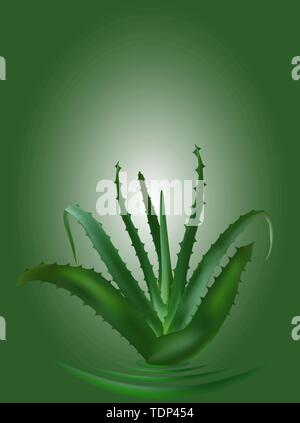 Design prodotto cosmetici pubblicità. design della confezione per cosmetici. crema, gel, crema per il corpo con aloe vera estratto Illustrazione Vettoriale