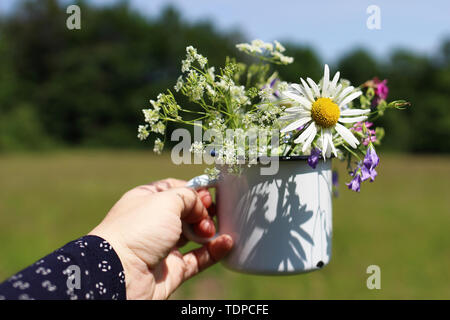 Stretta di mano womans azienda metal mug wild bouquet di fiori. Rilassatevi all'aperto del tempo. Smalto bianco cup con margherite, mucca prezzemolo e bluebells. Escursioni di un Foto Stock