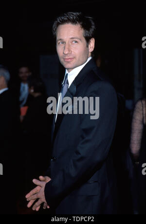 Feb 01, 1999; Los Angeles, CA, Stati Uniti d'America; l'attore David Duchovny @ 1999 TV Guide Awards.. (Credito Immagine: Â© Chris Delmas/ZUMA filo) Foto Stock