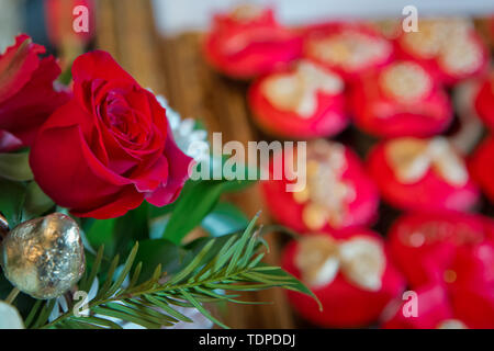 Red rose fiori . Rose rosse fiori con festival di san Valentino e splendidi bouquet di sfocatura sullo sfondo . 8 marc . Bellissime rose rosse dei fiori . Soft Foto Stock