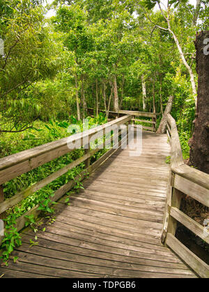 Un sentiero in legno per passeggiare nel giardino, per godere della natura nel mezzo del parco. Foto Stock