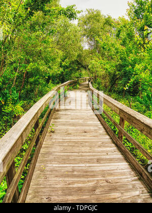Un sentiero in legno per passeggiare nel giardino, per godere della natura nel mezzo del parco. Foto Stock