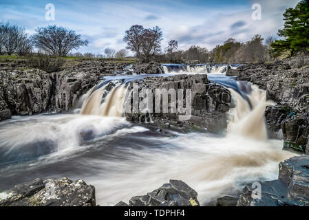 Forza bassa in alta Teesdale, Nord dell'Inghilterra dove i Tees del fiume rotola sopra la soglia di whin, uno strato di roccia dura della dolerite che ha formato 295 milli... Foto Stock